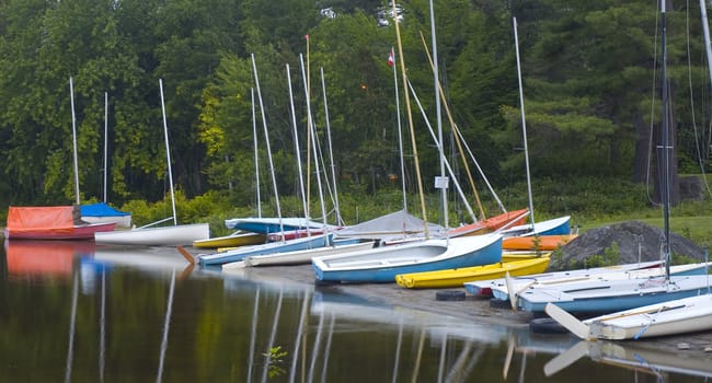 a bunch of boat coasted on the sand