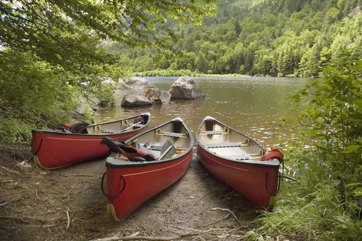 three red canoes docked near a lake shore