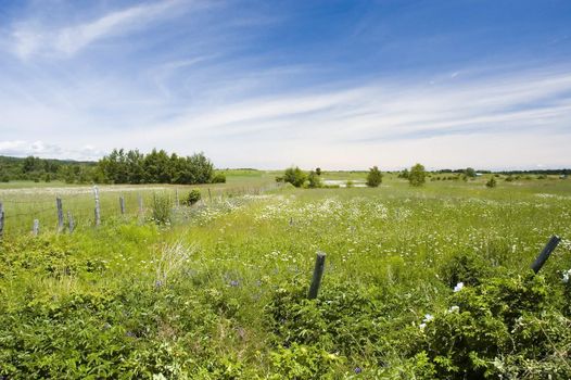 Country side landscape with grass and old fense 