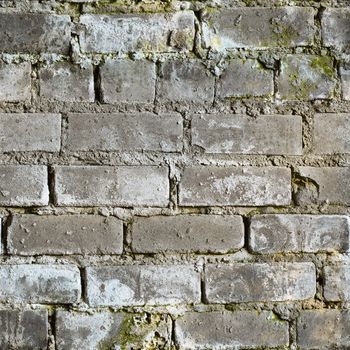 Seamless texture from gray dirty moldy brick wall