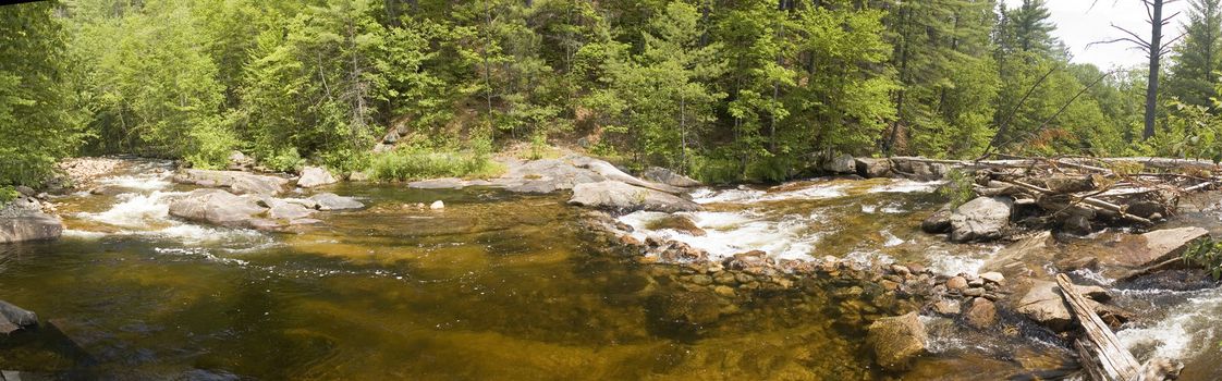 panoramic view of a small river flowing in the middle of a forest