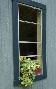 old house window with a pot of flowers