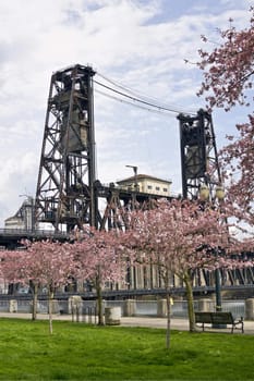 Steel Bridge at Spring Time in Portland Oregon