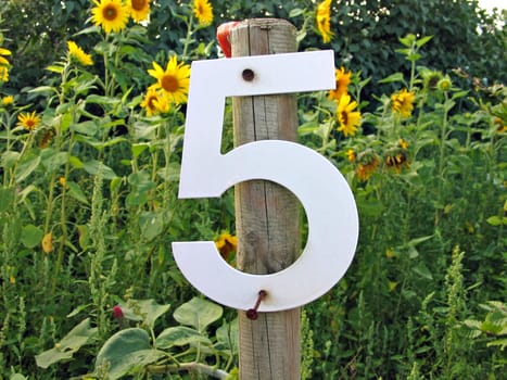 Number five 5 on road sign in a country road