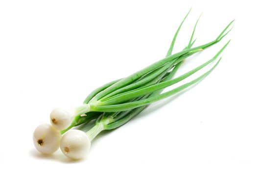 close-up green onions, isolated on white