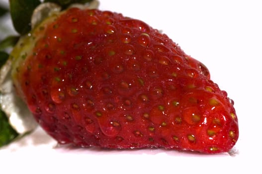 macro on a very ripe strawberry, isolated on white