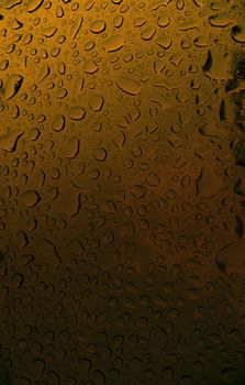 A macro of some condensation on a beer glass.