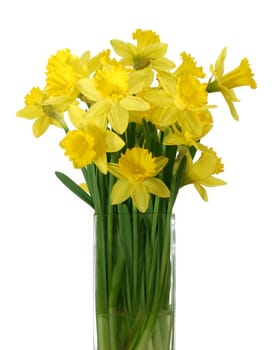 Beautyful daffodil bouquet in a vase isolated on a white background