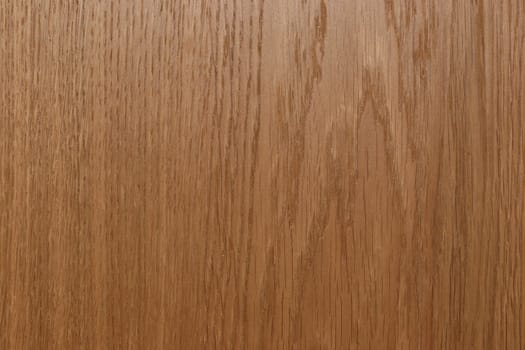 Background of  real oak wood texture - evenly lit