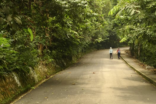 two people having their walk early in the morning at park