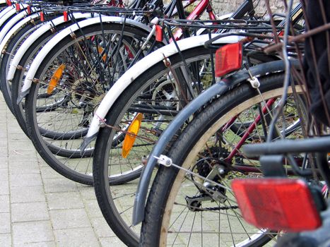 Bicycles standing in line in a parking place