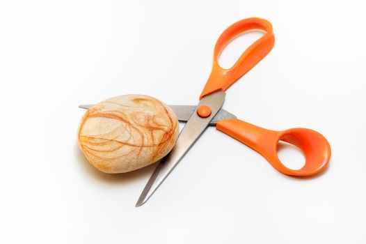 Stone is between open pairs of scissors
