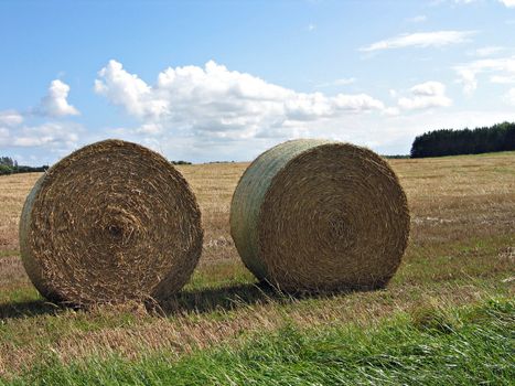 Two round haystacks after the harvest in the field