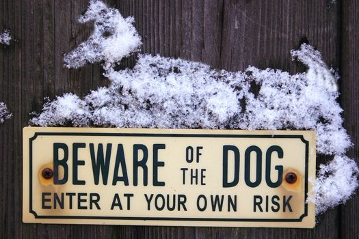 snow dog on a beware of the dog sign