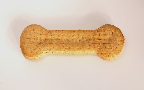 bone shaped dog biscuit
