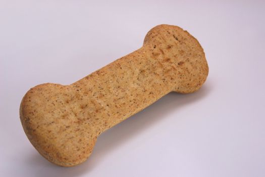 bone shaped dog biscuit