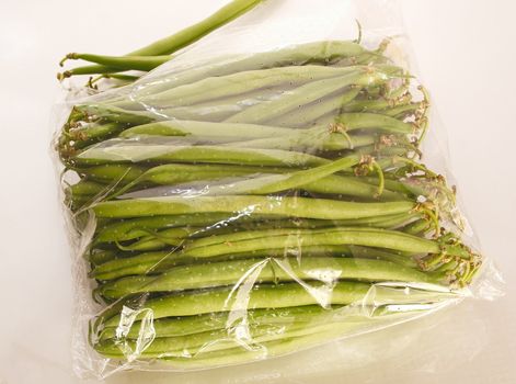 dwarf french green beans isolated over white
