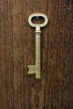 Old key of gold colour on a background of an old tree.