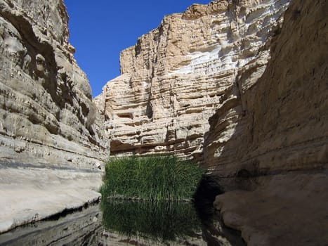 Ein Avdat - Negev Desert Israel - Desert Oasis 