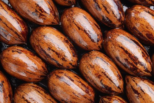 Close up of a group of wet pecans.