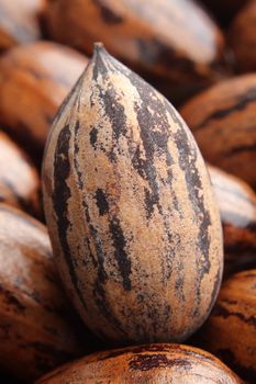 Close up of a group of whole pecans.