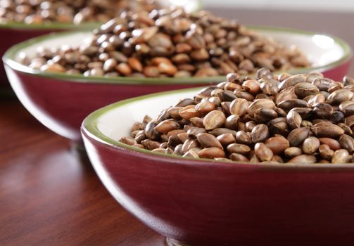 Several bowls of organic barley on wooden counter.