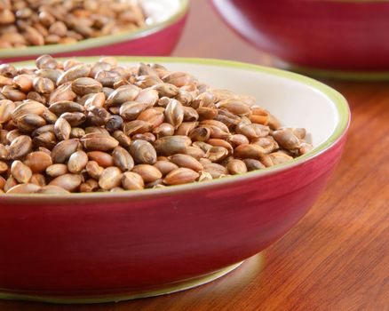 Several bowls of organic barley on wooden counter.