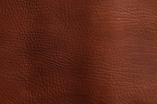 close up shot of the texture of  leather