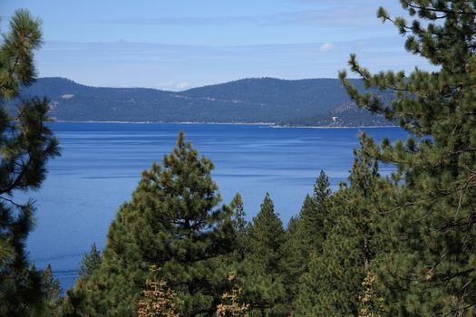 View of Lake Tahoe through pine trees.