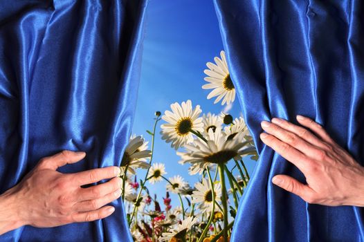 view to summer flowers behind a blue curtain showing happiness