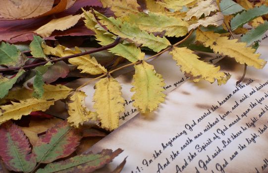 Colorful background of Bible and fallen autumn leaves  