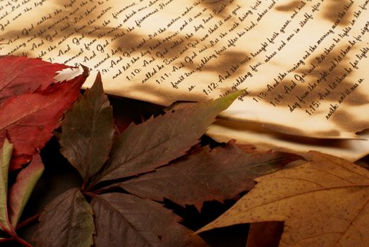 Colorful background of Bible and fallen autumn leaves  