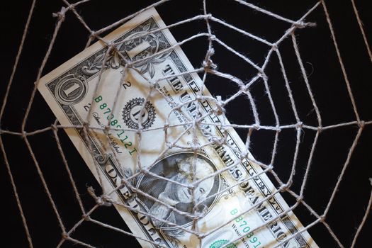 Conceptual background with web made from rope and one dollar note on dark