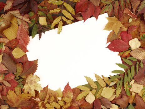 Colorful frame of fallen autumn leaves  