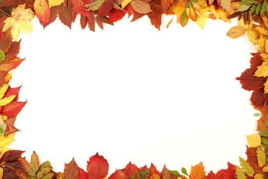 Colorful frame of fallen autumn leaves  