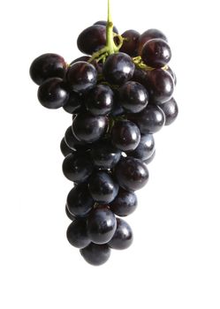 Cluster of grapes isolated on white background               