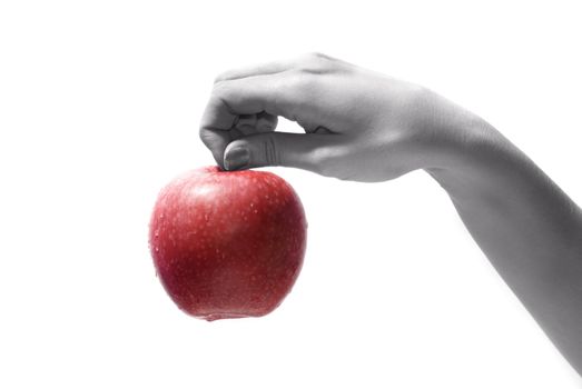 Tasty sweet apple in graceful woman's hand     