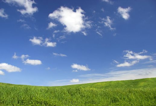 Green field landscape with a great blue sky