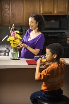 Portrait of young pregnant mother arranging flowers while son eats breakfast.