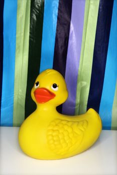 Still life shot of a rubber ducky with a striped shower curtain in background.