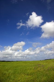 Green meadow with a beautiful blue sky