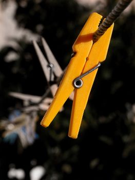 Yellow Clothespin on the rope
