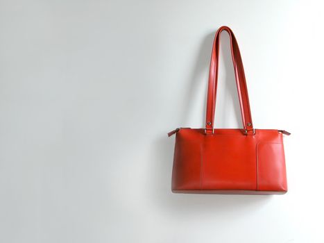 Female Bag in a white wall