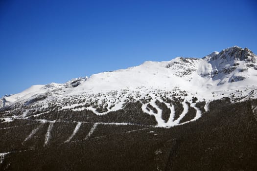 Ski resort trails on mountain.