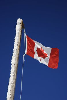 Canadian flag.