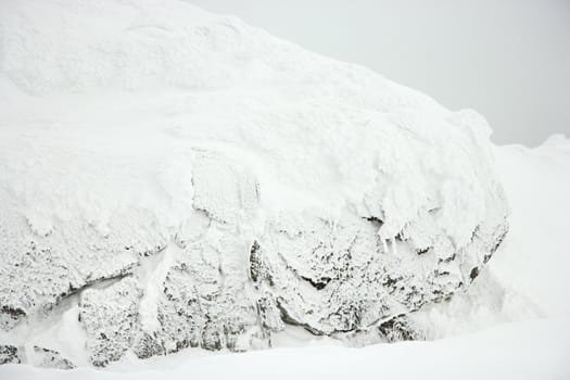 Snow covered scene.