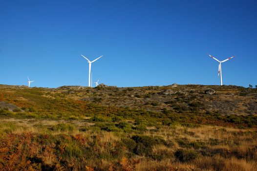 four eolic generators in a wind farm