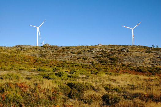 Stark White Electrical Power Generating Wind Turbines
