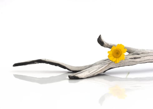 Wooden piece with a yellow flower