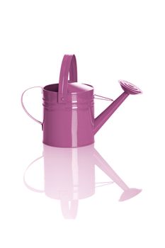 Pink watering can isolated on white background with reflection